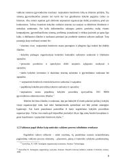 Tarptautinių organizacijų valdymas 8 puslapis