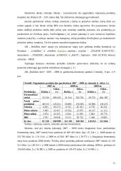 Eksporto organizavimas AB "Rokiškio sūris"  11 puslapis