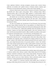 Eksporto organizavimas AB "Rokiškio sūris"  7 puslapis