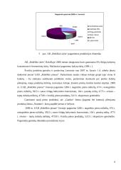 Eksporto organizavimas AB "Rokiškio sūris"  9 puslapis