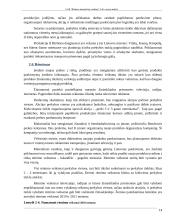 Birštono mineralinių vandenų įmonės analizė 14 puslapis