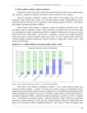 Birštono mineralinių vandenų įmonės analizė 18 puslapis