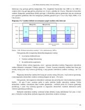 Birštono mineralinių vandenų įmonės analizė 19 puslapis