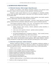 Birštono mineralinių vandenų įmonės analizė 3 puslapis