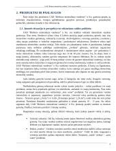 Birštono mineralinių vandenų įmonės analizė 5 puslapis