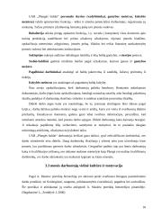 UAB „Plungės baldai“ praktikos ataskaita 17 puslapis