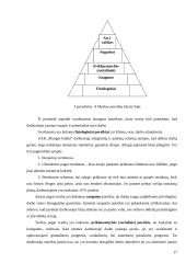 UAB „Plungės baldai“ praktikos ataskaita 18 puslapis