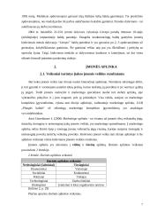 UAB „Plungės baldai“ praktikos ataskaita 8 puslapis