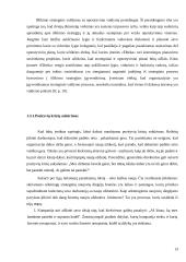 UAB "Elbeka" įmonės išlikimo strategija 13 puslapis