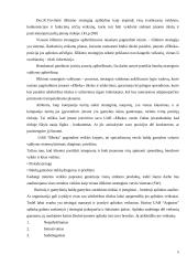 UAB "Elbeka" įmonės išlikimo strategija 5 puslapis