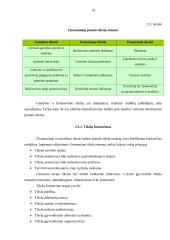 UAB “Elbeka” įmonės veikla 14 puslapis