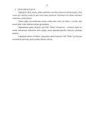 UAB “Elbeka” įmonės veikla 15 puslapis