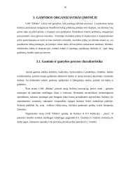 UAB “Elbeka” įmonės veikla 16 puslapis