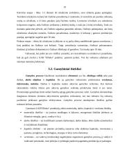 UAB “Elbeka” įmonės veikla 19 puslapis