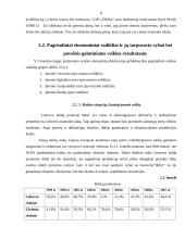 UAB “Elbeka” įmonės veikla 8 puslapis