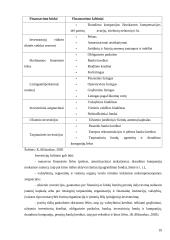 Investicinio projekto rengimas UAB "Akvaservis" 19 puslapis