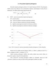 Praktikos ataskaita UAB "Akvaservis" 13 puslapis