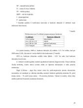 Praktikos ataskaita UAB "Akvaservis" 19 puslapis