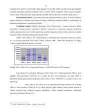 Ilgalaikio turto ypatumai UAB "Jukna" 17 puslapis