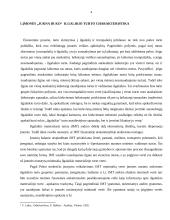 Ilgalaikio turto ypatumai UAB "Jukna" 4 puslapis