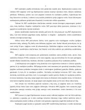 Ilgalaikio turto ypatumai UAB "Jukna" 5 puslapis