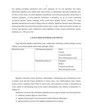 Ilgalaikis materialusis turtas 2 puslapis