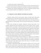 Ilgalaikis materialusis turtas 3 puslapis