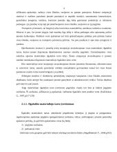 Ilgalaikis materialusis turtas 4 puslapis