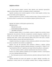 Ilgalaikis materialusis turtas 5 puslapis