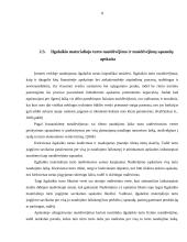 Ilgalaikis materialusis turtas 8 puslapis