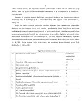 Ilgalaikis materialusis turtas 9 puslapis