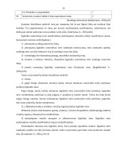 Ilgalaikis materialusis turtas 10 puslapis