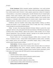 UAB "Jukna" įmonės likvidumas  2 puslapis