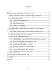 UAB "Senevita" finansinių rodiklių analizė 2 puslapis