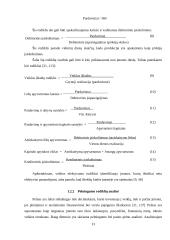 UAB "Senevita" finansinių rodiklių analizė 13 puslapis