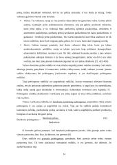 UAB "Senevita" finansinių rodiklių analizė 14 puslapis