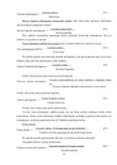 UAB "Senevita" finansinių rodiklių analizė 15 puslapis