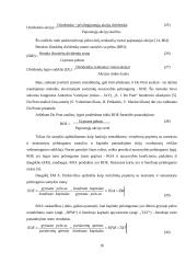 UAB "Senevita" finansinių rodiklių analizė 16 puslapis