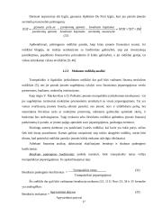 UAB "Senevita" finansinių rodiklių analizė 17 puslapis