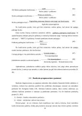 UAB "Senevita" finansinių rodiklių analizė 20 puslapis