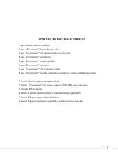 Įmonės veiklos ir vadybos principai  2 puslapis