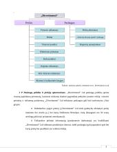 Įmonės veiklos ir vadybos principai  12 puslapis