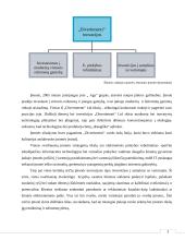 Įmonės veiklos ir vadybos principai  17 puslapis