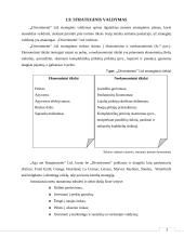 Įmonės veiklos ir vadybos principai  18 puslapis