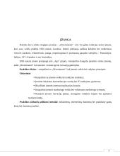 Įmonės veiklos ir vadybos principai  3 puslapis