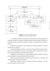 UAB "Averita" praktikos ataskaita  4 puslapis