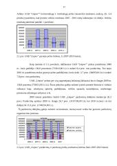 Savikainos mažinimo būdai, jų svarba įmonės veiklos rezultatyvumui 17 puslapis