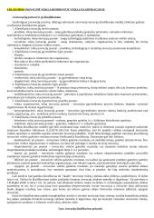 Inovacijų vadyba 2 puslapis