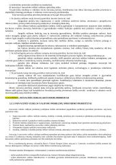 Inovacijų vadyba 12 puslapis