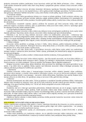 Inovacijų vadyba 19 puslapis